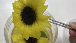 ひまわり制作しています。